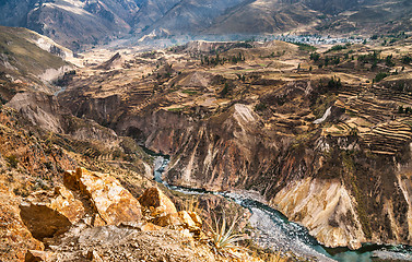 Image showing Colca Canyon View Overview