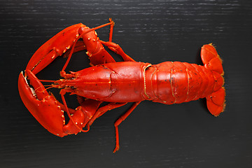 Image showing Top view of Boiled Atlantic Lobster