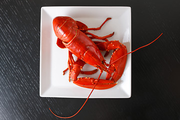 Image showing Boiled Atlantic Lobster on white plate