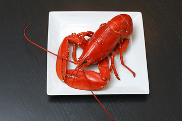 Image showing Boiled Atlantic Lobster on white plate