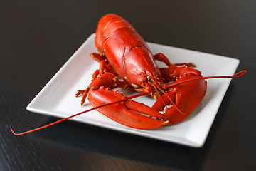 Image showing Boiled Atlantic Lobster on white plate