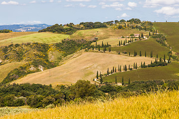 Image showing La Foce