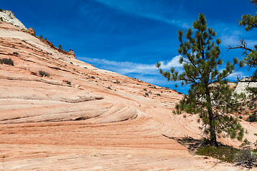 Image showing Zion National Park