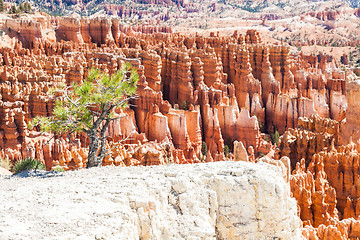 Image showing Bryce Canyon