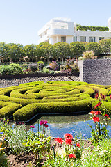 Image showing Garden Maze