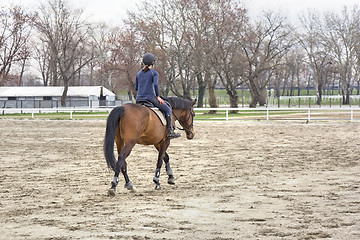 Image showing Horsewoman