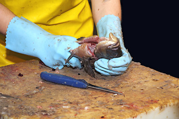 Image showing Cleaning fish