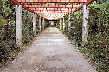 Image showing Pergola passage