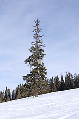 Image showing Hunting tower