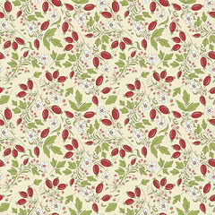 Image showing seamless texture barberry on a beige background