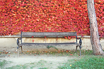 Image showing Bench and red leaves