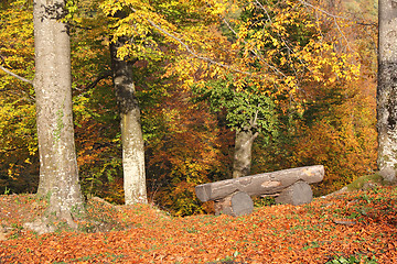 Image showing Wooden bench in the woods