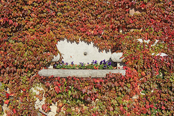 Image showing Autumn Leaves background