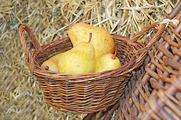 Image showing Pears in basket