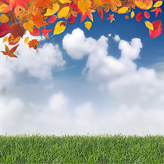 Image showing Autumn background