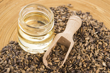 Image showing Seeds of a milk thistle (Silybum marianum, Scotch Thistle, Maria