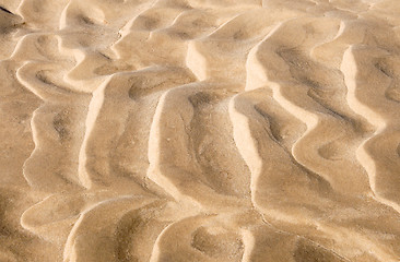 Image showing Sand beach on the river.