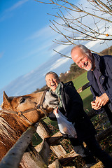 Image showing Elderly couple petting a horse in a paddock