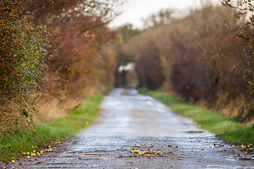 Image showing landscape and street in autumn spring outdoor 