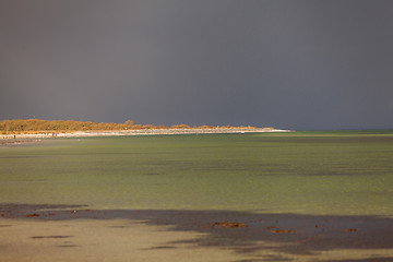 Image showing baltic sea background evening wooden wave breaker beach