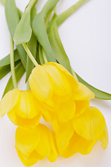 Image showing Bunch of cheerful yellow tulips