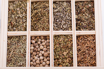 Image showing Tray with assorted dried spices and herbs