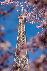 Image showing Eiffel Tower in Paris