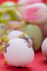 Image showing beautiful easter egg decoration colorfull eggs seasonal pastel 