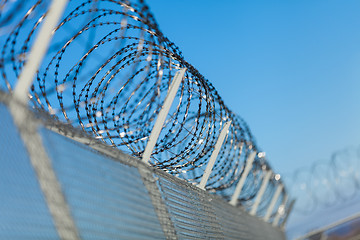 Image showing Coiled razor wire on top of a fence