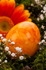 Image showing Vivid orange Easter egg with a gerbera and rose