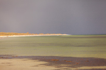 Image showing baltic sea background evening wooden wave breaker beach