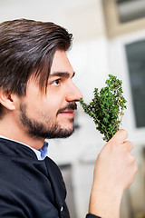 Image showing Chef checking the freshness of a bunch of herbs