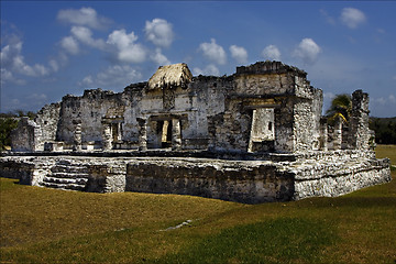 Image showing  a wild angle of the tulum   mexico america