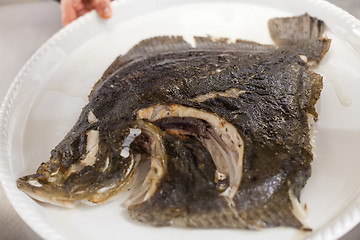 Image showing Piece of fresh fish fillet