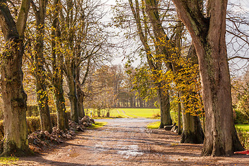 Image showing landscape and street in autumn spring outdoor 