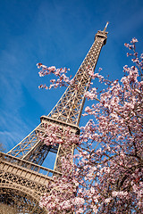 Image showing Eiffel Tower in Paris