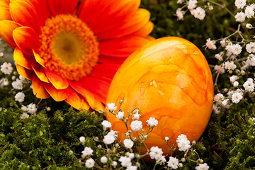 Image showing Vivid orange Easter egg with a gerbera and rose