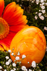 Image showing Vivid orange Easter egg with a gerbera and rose