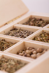 Image showing Tray with assorted dried spices and herbs