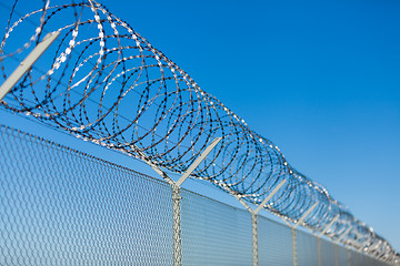 Image showing Coiled razor wire on top of a fence