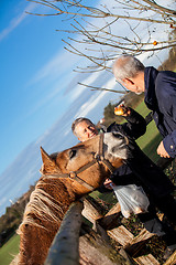 Image showing Elderly couple petting a horse in a paddock