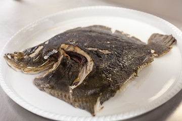 Image showing Piece of fresh fish fillet