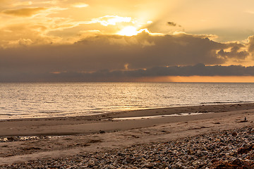 Image showing baltic sea background evening wooden wave breaker beach