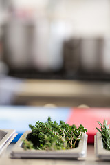 Image showing Fresh rosemary sprigs on a kitchen counter