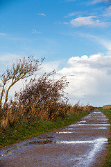 Image showing landscape and street in autumn spring outdoor 