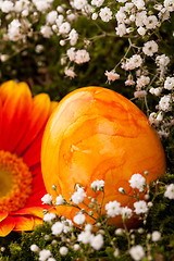 Image showing Vivid orange Easter egg with a gerbera and rose