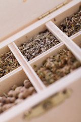 Image showing Tray with assorted dried spices and herbs