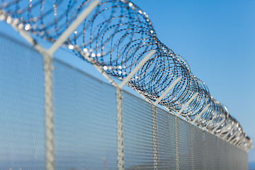 Image showing Coiled razor wire on top of a fence