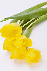 Image showing Bunch of cheerful yellow tulips