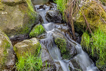 Image showing Falls on the small mountain river in a wood